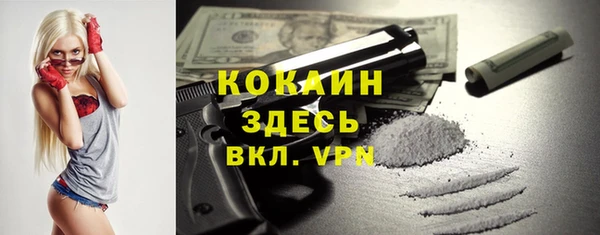 ешки Богданович