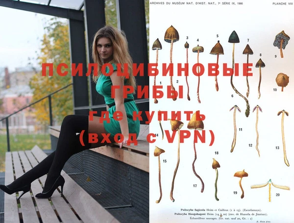 тгк Осинники
