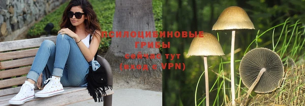 MDMA Premium VHQ Богородицк